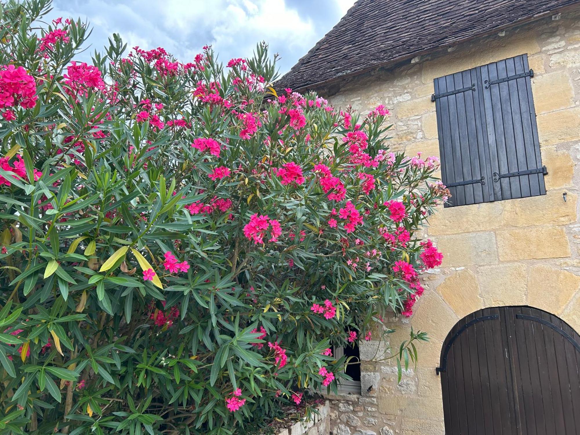 Demeure Du Vallon - Chambres D'Hotes De Charme Azerat Екстериор снимка
